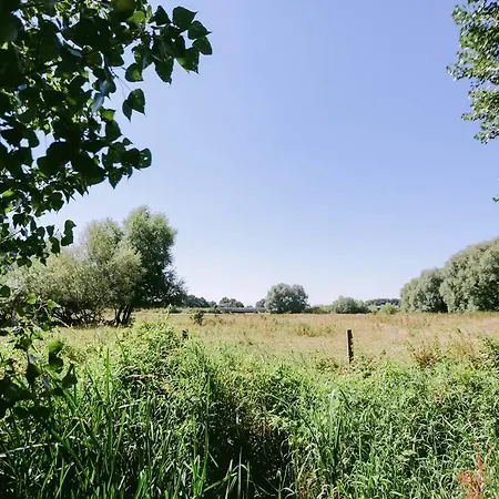 Maison d'hôtes Willenbrink 2*